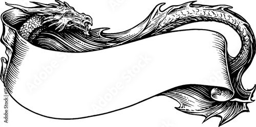 Dragon scale banner curve in black and white for fantasy designs