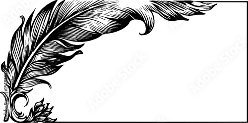 Elegant quill feather corner design for traditional scroll decoration