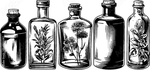 Vintage gin bottle collection with botanical etchings for design projects