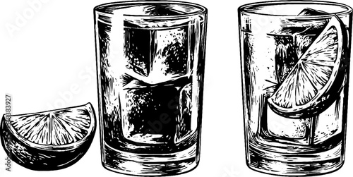 Set of gin and tonic with highball glass and lime wedge - vintage beverage art for bar decor
