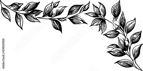 Elegant black and white laurel leaf corner sprig for design projects