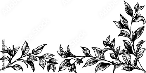 Elegant leafy garland swag in black and white for decorative designs