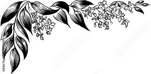 Leafy garland banner swag design in black and white for decorative use