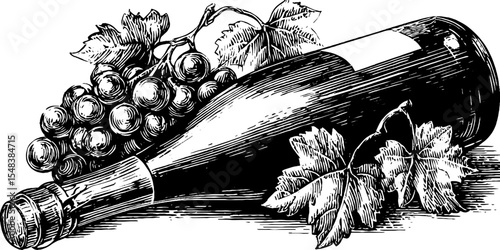 Elegant prosecco bottle with vine pattern and grapes sketch for retro design