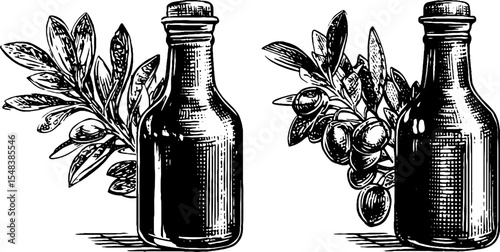 Vintage sweet vermouth bottle with herb garland design for retro labels and packaging