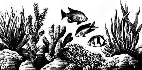 Vintage oceanic scene with coral and seaweed for nautical design