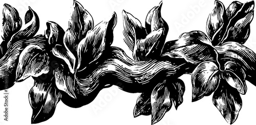 Enchanting wood elf druid weaving living vines - nature inspired design for print