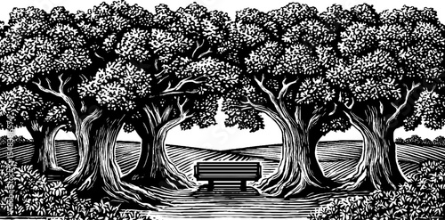 Tranquil stone bench circle under majestic elms in black and white nature sketch
