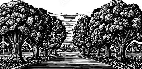 Tranquil tree lined promenade with benches in black and white for design and decor