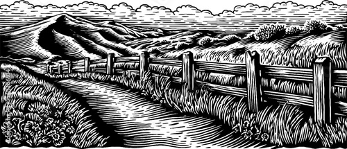 Windswept prairie with fading fence line black and white scene