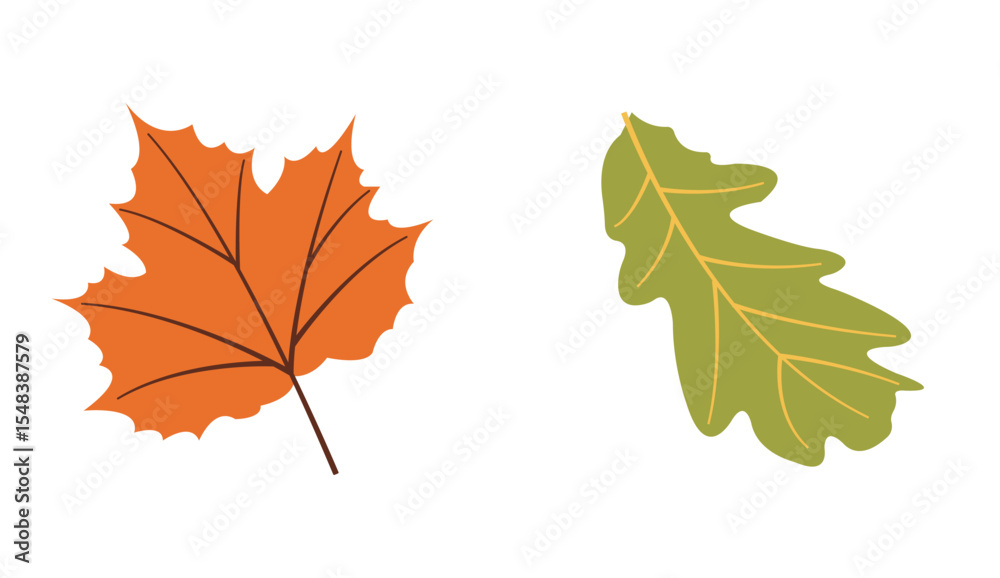 Fototapeta premium Seasonal autumn flat vectors: orange and green for creative use. Hand drawn set for banners, cards, social media