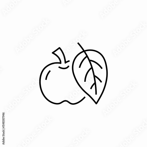 apple leaf fruit icon sign vector
