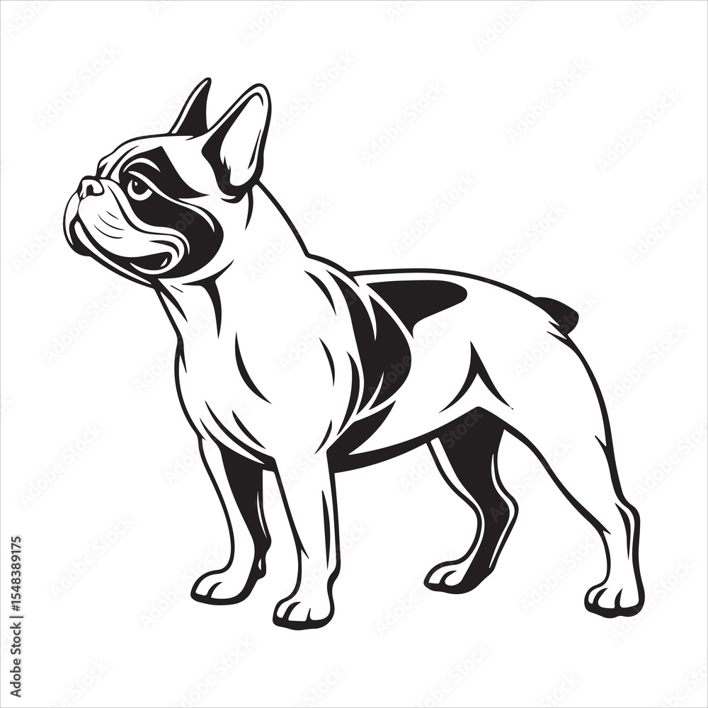 Fototapeta premium French bulldog vector illustration
