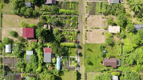 Detailed top-down drone shot of summer allotment gardens with structured paths, cultivated sections, greenhouses, and scattered utility sheds in a lush suburban area