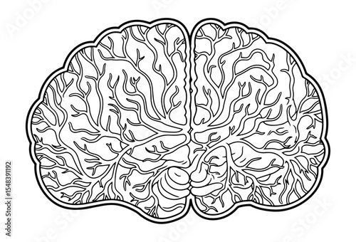A Series for Alleviating Sadness and Treating Depression :
(51) Intricate Brain: Line Art of the Human Brain for Coloring and Mindful Reflection