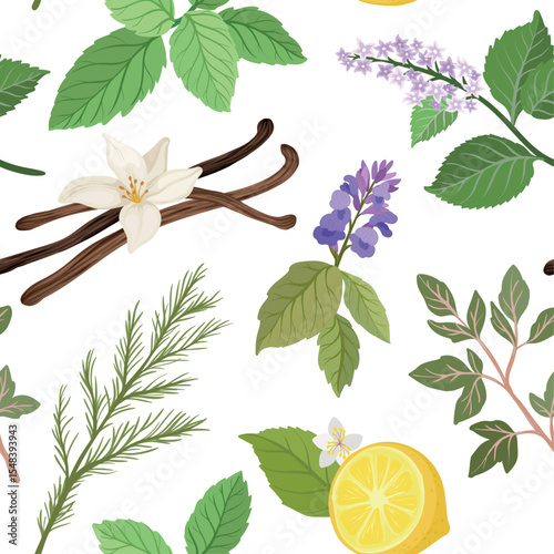 A seamless vector pattern featuring dill, patchouli, vanilla, mint, lemon blossom, oregano and sage