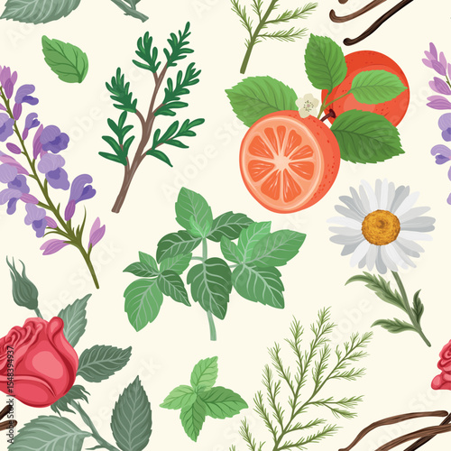 vector seamless pattern with aromatic ingredients including chamomile, rose, mint, rose, dill, grapefruit, thyme, and Clary sage Salvia