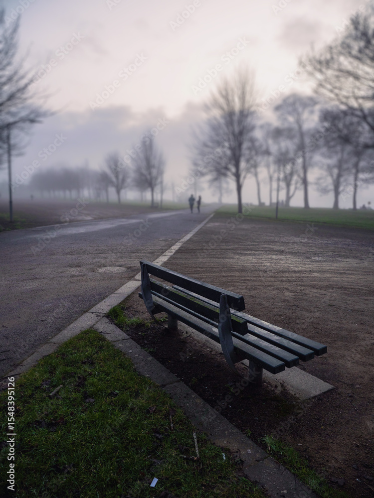 Fototapeta premium Winter town park in fog. Cool surreal look. Trees are without leaf and green lawn.