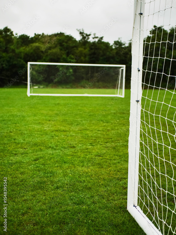 Fototapeta premium Side of football or soccer goalpost in focus, second goalposts out of focus, dark background. Sport equipment on clean cut green grass. Professional team training pitch.