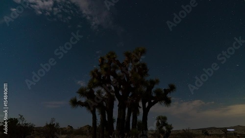 Timelapse of north star over Joshua Tree in Mojave Desert in California