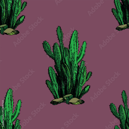 Seamless pattern with cacti, blooming succulent on color background. Vector hand drawn illustration for packaging, fabric, textile. Wild west cactus, western concept.
