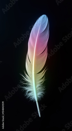 White feather that is sitting on a black surface