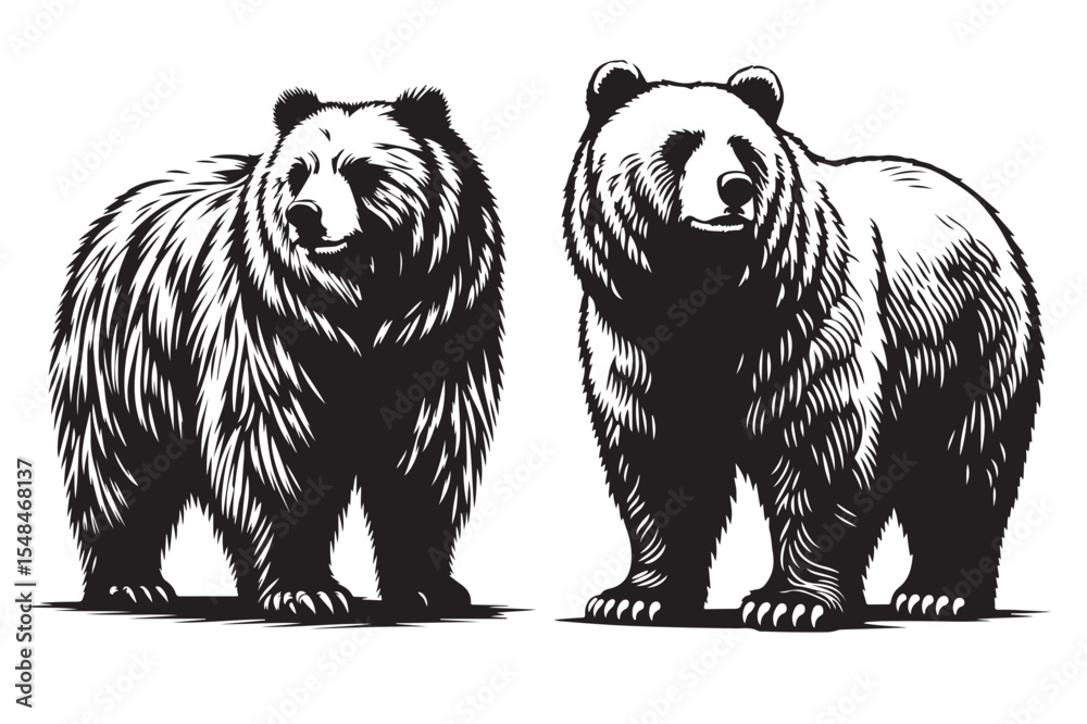 Obraz premium A cute grizzly bear cartoon vector illustration of a wild animal