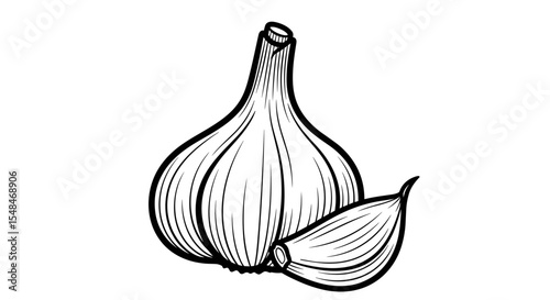 Head of garlic with a clove in black and white illustration style