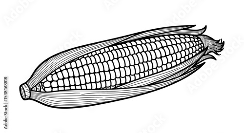 Ear of corn with husk in black and white illustration style