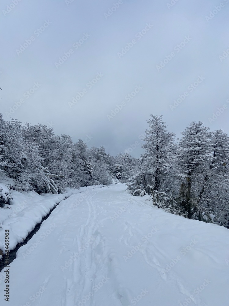 Obraz premium snow covered mountains