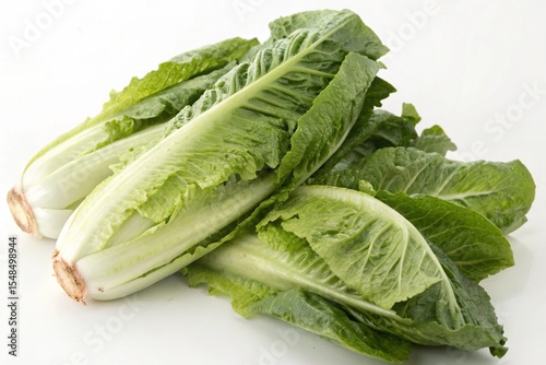 Fresh, vibrant green romaine lettuce hearts on a white background.
