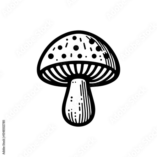 Hand-drawn illustration of a spotted mushroom, featuring detailed lines and shading.