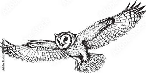 Hand-Drawn Flying Owl with Spread Wings