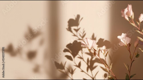 Delicate flowers casting soft shadows on a warm wall in a serene indoor setting