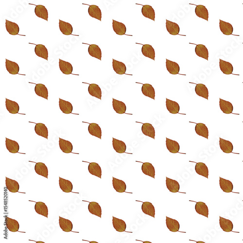 Seamless pattern with beautiful yellow and red autumn leaves 