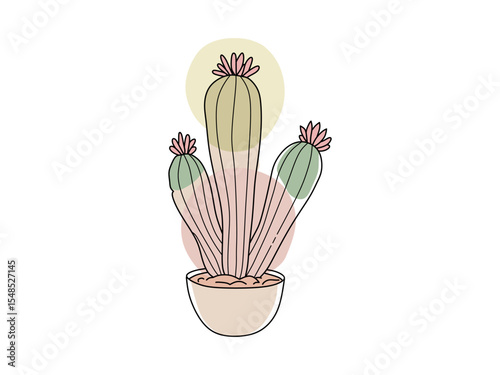 colorful cactus vector for ornamental plants