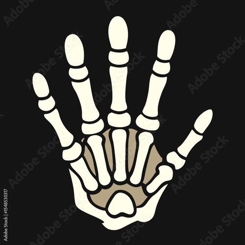 Anatomical Illustration of a Human Hand Skeleton.