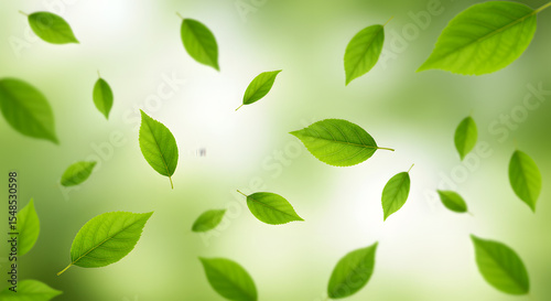 Wallpaper Mural Falling Green Leaves on Blurred Background Torontodigital.ca