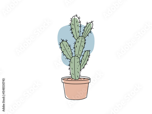 colorful cactus vector for ornamental plants