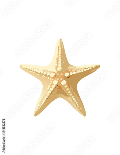 starfish 