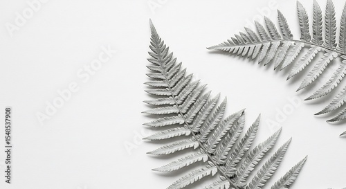 Elegant gray fern leaves softly contrast against a bright white background. AI Generated