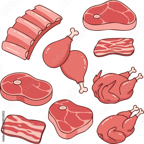 Various types of raw meat cuts including ribs drumsticks steak and bacon vector illustration 