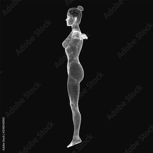 Wireframe woman standing in a neutral pose, showcasing a digital 3D model with clean geometric lines. The transparent mesh structure highlights anatomical details, perfect for tech and design.