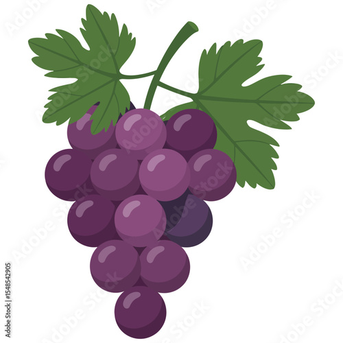bunch of grapes