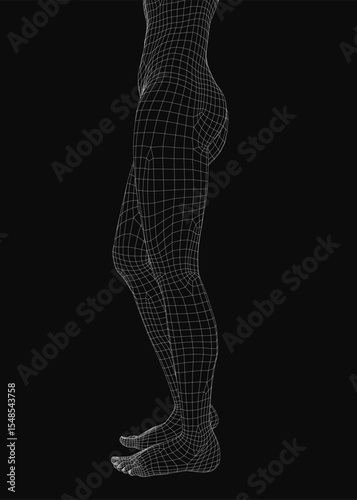 A young girl's waist and legs depicted in a sleek wireframe design, showcasing anatomical structure with clean lines and digital aesthetics. The minimalist illustration highlights human form