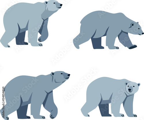 Polar bears in various walking poses vector illustration with blue and grey tones 