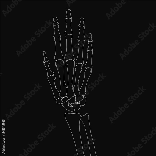 Skeleton hand in black and white, realistically detailed with visible bones, set against a dark background for striking contrast. The composition highlights anatomical accuracy and dramatic.