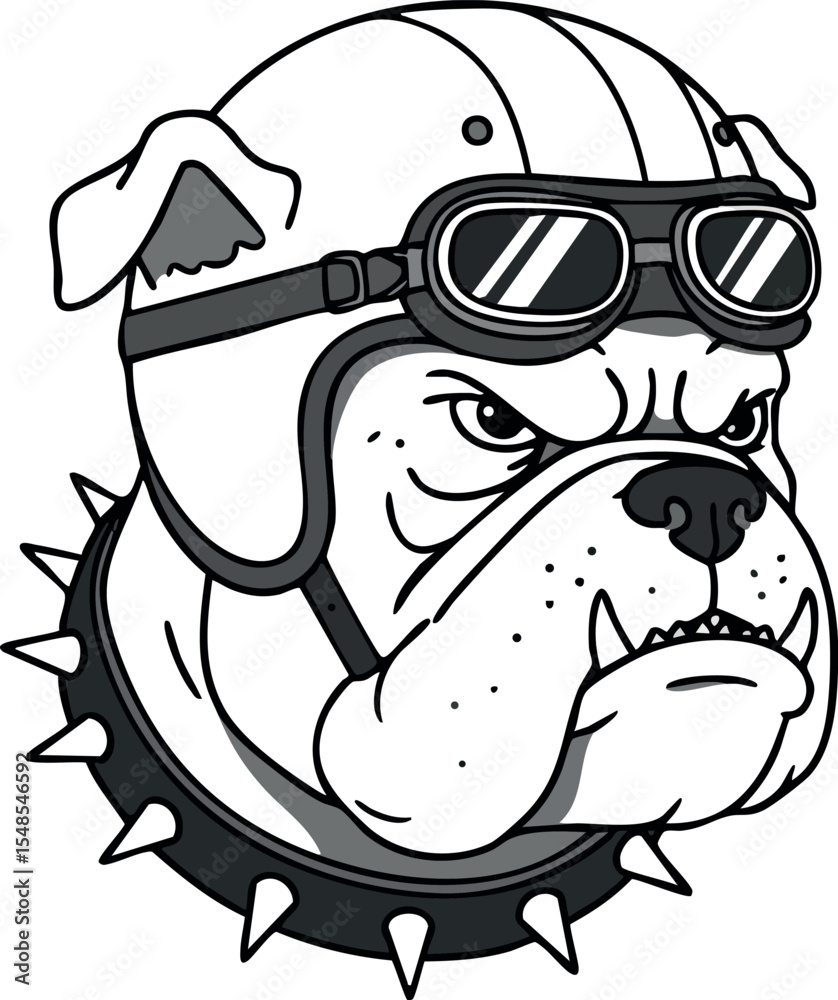 Fototapeta premium Bulldog wearing motorcycle helmet with goggles and spiked collar vector illustration 