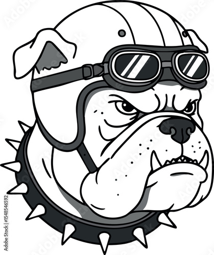 Bulldog wearing motorcycle helmet with goggles and spiked collar vector illustration 