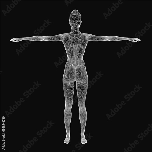 A 3D wireframe model of a woman's body with arms outstretched, showcasing detailed anatomical structure against a black background. The digital rendering highlights skeletal and muscular contours.